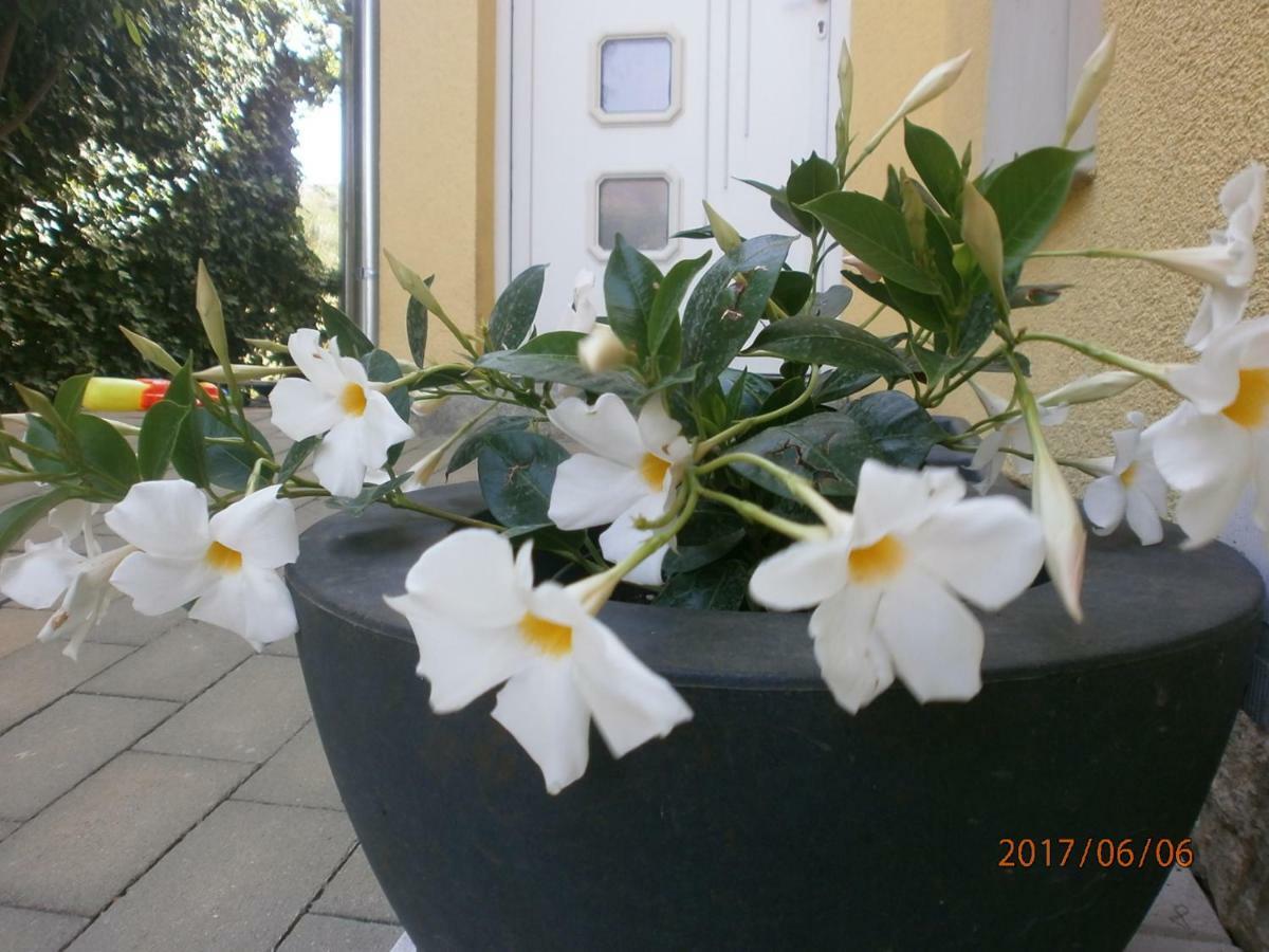 Royal Apartment Šibenik